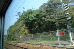 Поезд на Гуанчжоу