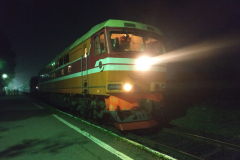 Питер — Брест  поезд 